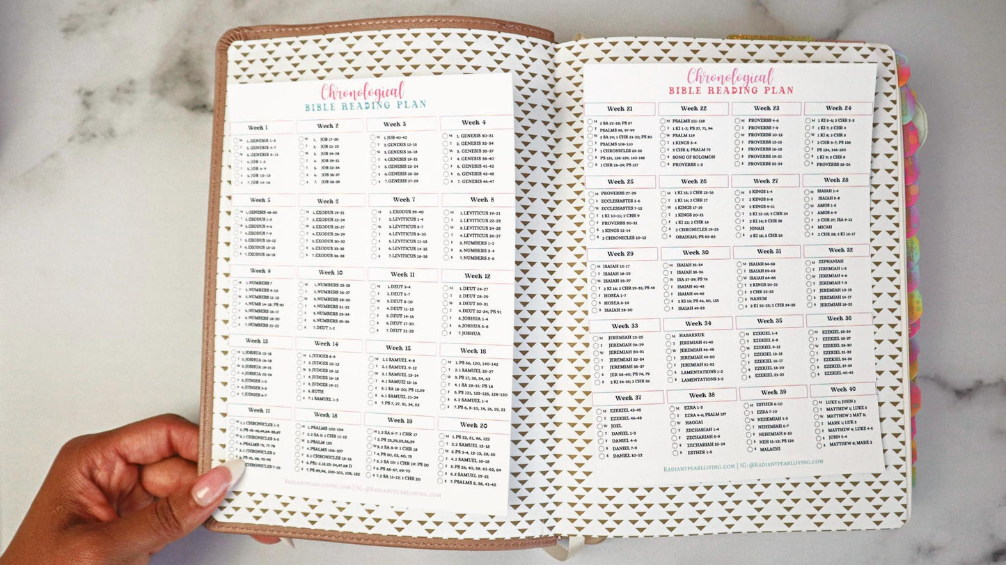 Chronological Bible Reading Plan Matte Vinyl Sticker | Full Year Bible Reading Checklist | Printed Bible Reading Plan | Bible Journaling Sticker | Bible Study Accessory
