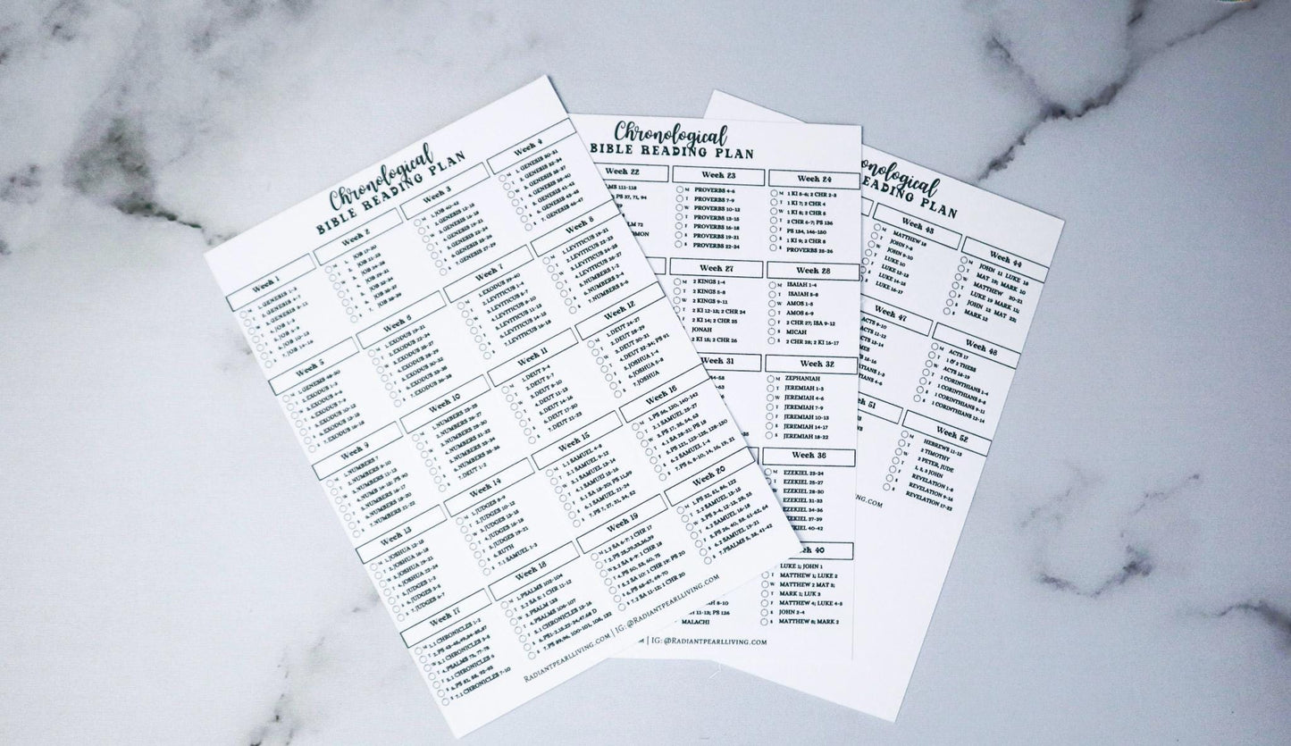 Chronological Bible Reading Plan Matte Vinyl Sticker | Full Year Bible Reading Checklist | Printed Bible Reading Plan | Bible Journaling Sticker | Bible Study Accessory