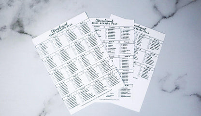 Chronological Bible Reading Plan Matte Vinyl Sticker | Full Year Bible Reading Checklist | Printed Bible Reading Plan | Bible Journaling Sticker | Bible Study Accessory