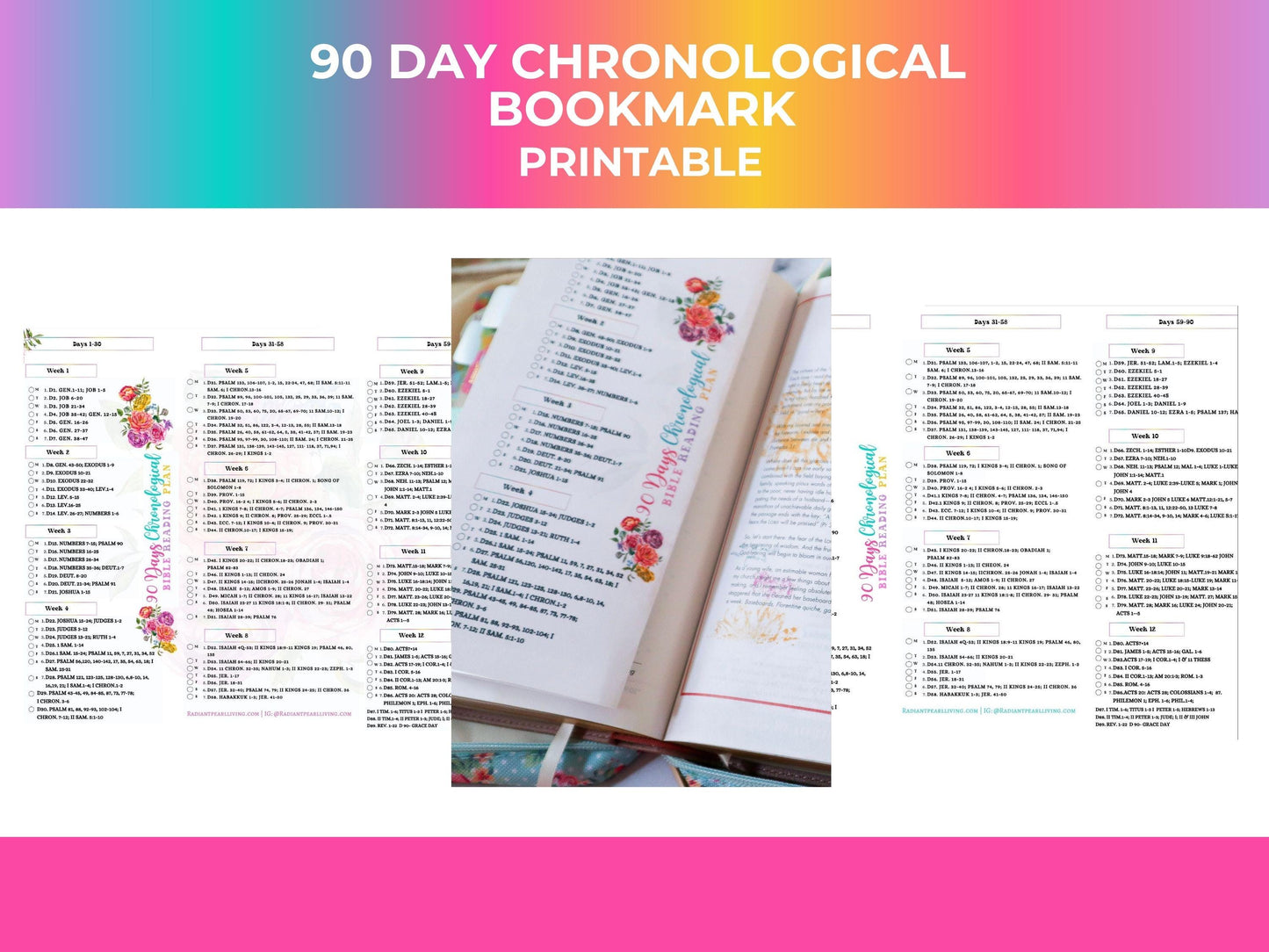 90 Day Chronological Bible Reading Plan Checklist for Bible | Printable Bible Plan