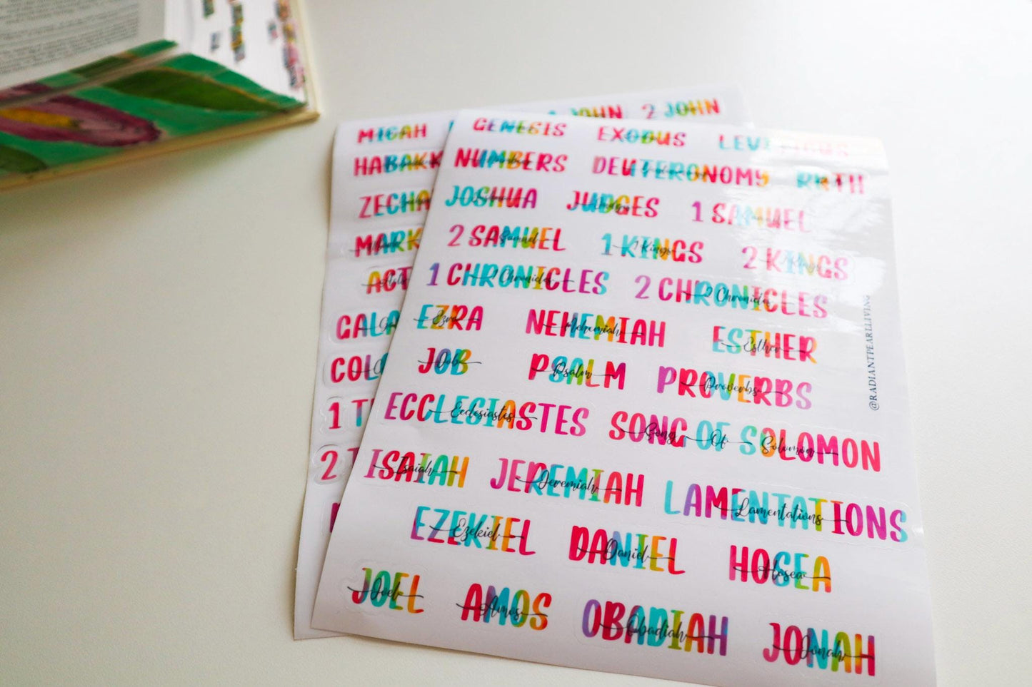 Books of the Bible Header Clear Vinyl Sticker Labels| Colorful Bible Personalized
