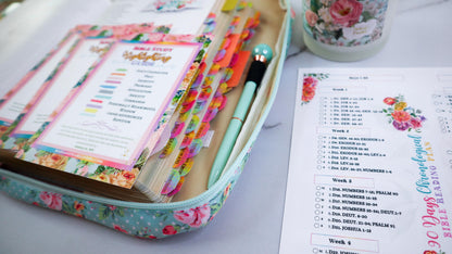 90 Day Chronological Bible Reading Plan Checklist for Bible | Printable Bible Plan