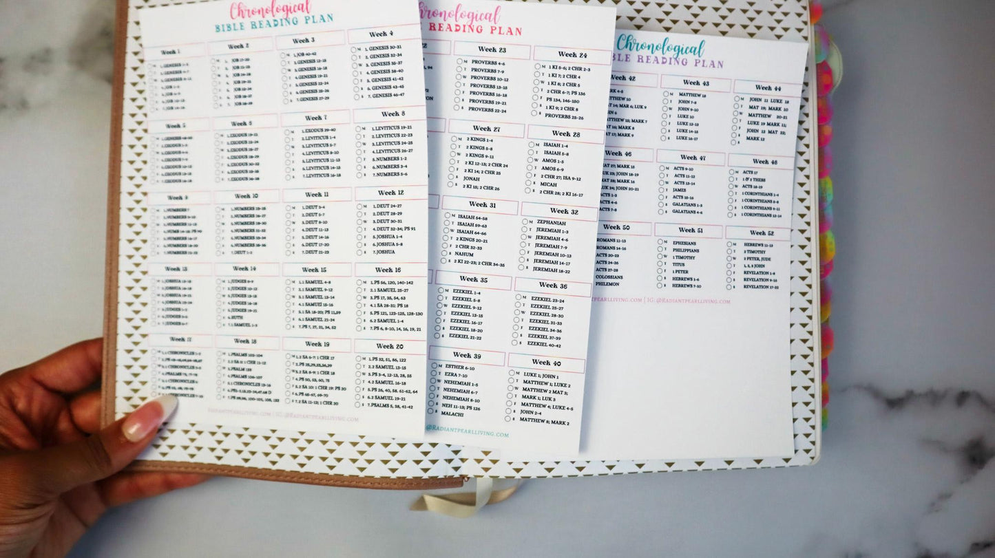 Chronological Bible Reading Plan Matte Vinyl Sticker | Full Year Bible Reading Checklist | Printed Bible Reading Plan | Bible Journaling Sticker | Bible Study Accessory