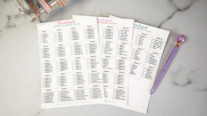 Chronological Bible Reading Plan Matte Vinyl Sticker | Full Year Bible Reading Checklist | Printed Bible Reading Plan | Bible Journaling Sticker | Bible Study Accessory