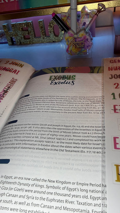 Aesthetic Books of the Bible Header Stickers