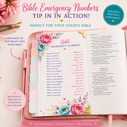 The Complete Loaded Bible Planning System