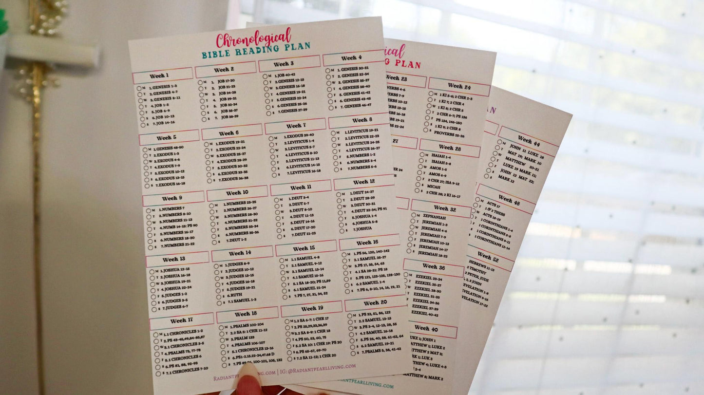Chronological Bible Reading Plan Matte Vinyl Sticker | Full Year Bible Reading Checklist | Printed Bible Reading Plan | Bible Journaling Sticker | Bible Study Accessory