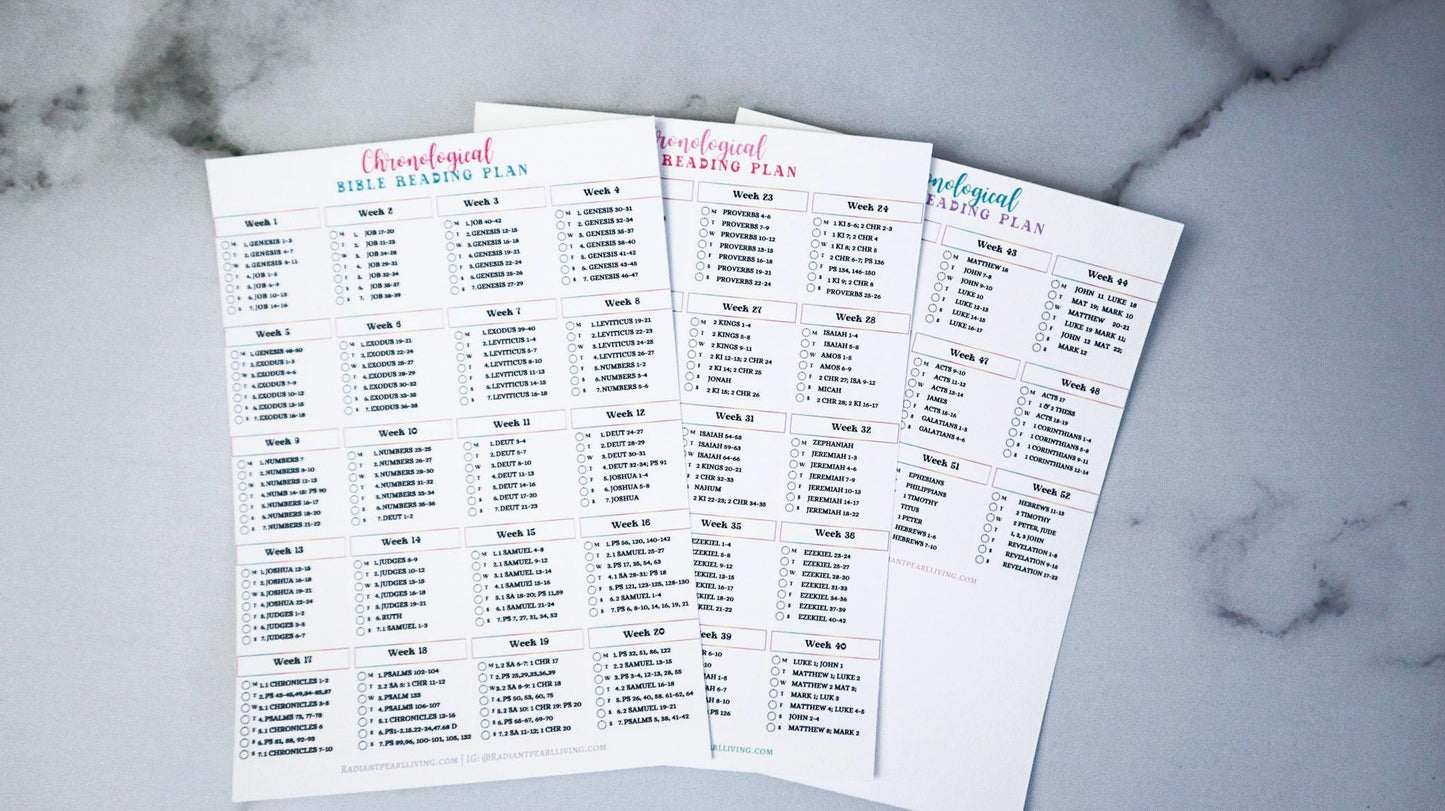 Chronological Bible Reading Plan Matte Vinyl Sticker | Full Year Bible Reading Checklist | Printed Bible Reading Plan | Bible Journaling Sticker | Bible Study Accessory