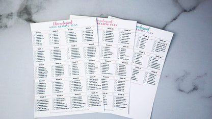 Chronological Bible Reading Plan Matte Vinyl Sticker | Full Year Bible Reading Checklist | Printed Bible Reading Plan | Bible Journaling Sticker | Bible Study Accessory
