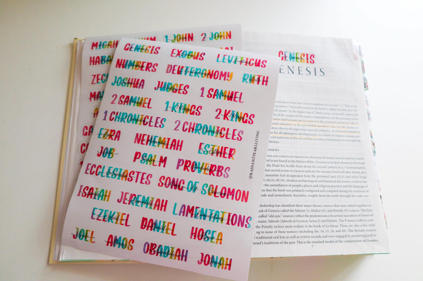 Books of the Bible Header Clear Vinyl Sticker Labels| Colorful Bible Personalized